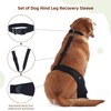 Dog Recovery Sleeve Back Leg Breathable Diving Material,Dog Leg Sleeve