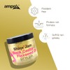 Ampro Shine Jam Gel Ricino Linaza Enriquecido Vitamina Acondicionar Fortalece