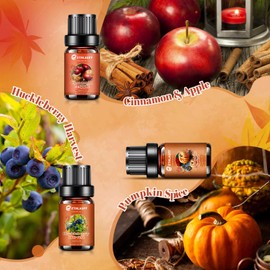 Fragrance Oil Autumn Set | Pumpkin Spice, Cinnamon & Apple, Fireplace, Huckleberry Harvest, Warming Cashmere Scents for Candle Making, Soap Making Supplies, Diffuser Oil for Home
