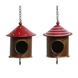 Posiwio Metal Bird Feeder and Fat Ball Holder - Rust, D 10 x H 11.5 + Chain