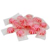 Starlight Peppermint With Cinnamon 2 Lbs Bulk Hard Candy Discs