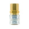 Foster 3 Series - Coupler, 1/4" Body, 1/4" NPT -