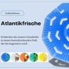 Lavalis Urinal Sieve (Pack of 9) Atlantic Freshness, Splash Guard
