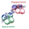 SweetGourmet Sugar-Free Spearmint Starlight Bulk Arcor Hard Candy | 2