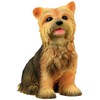 Yorkshire Terrier Puppy / Dog - Yorkie Statue Figurine Sculpture