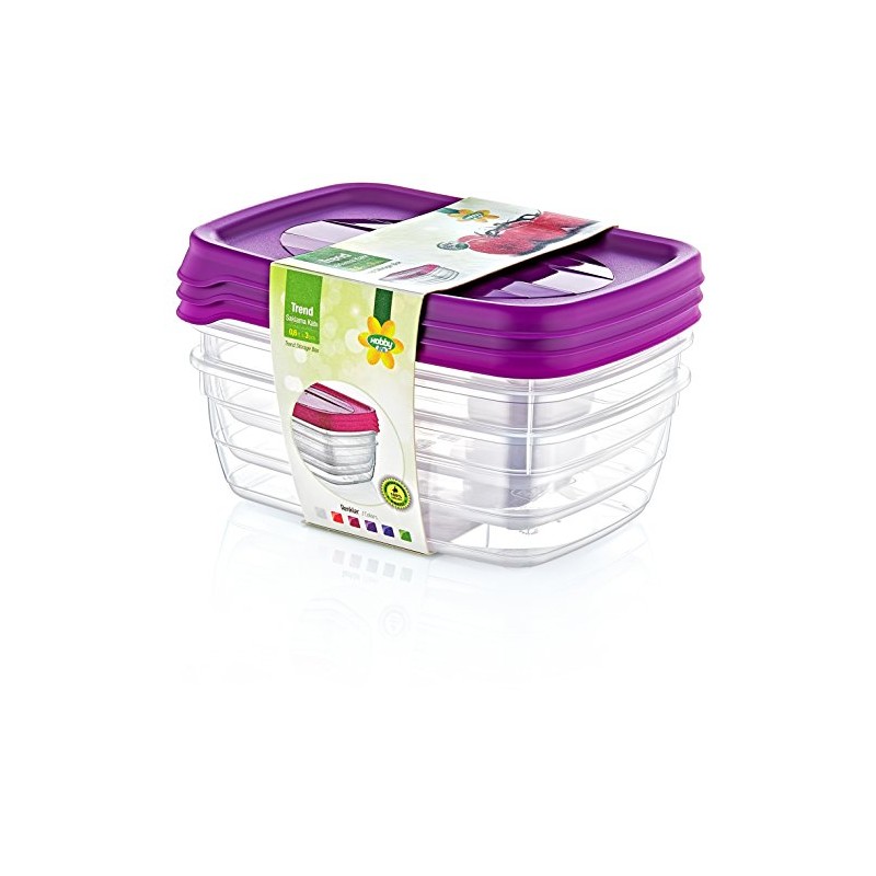 Hobby Life 0.6 Litre 3-Piece Plastic Trend Rectangular Storage/Food Saver