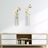 2 Pack Glass Wall Planter Hanging Vases 1.84x5.93 Inch Modern