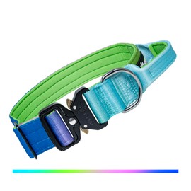 TSPRO Premium Gradient Dog Collar with Handle Thick Dog Collar Adjustable Dog Collar Heavy Duty Quick-Release Metal Buckle Dog Collar for Medium to Large Dogs (Rainbow - L)