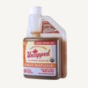 Untapped Liquid Ginger Mapleaid Bulk Bottle – 20 Servings