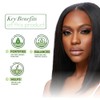 ORS Olive Oil Creamy Aloe Shampoo & Replenishing Conditioner with