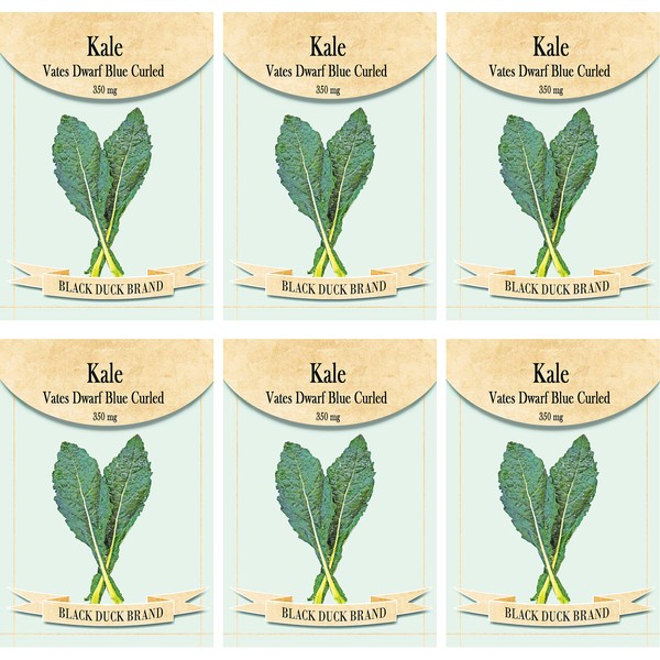 Set of 6 Vegetable Seed Packs - Create a Deluxe