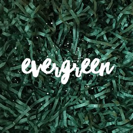 Evergreen Shredded Tissue Paper Dark Green Shred Hamper Gift Box Basket Filler Baby Shower Easter Wedding Party Christmas Decor Eco-friendly Biodegradable Compostable Acid-free Colorfast 100g