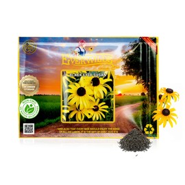 Everwilde Black Eyed Susan Seeds 1 lb – Vigorous Biennial Wildflowers – Butterfly & Pollinator Magnet – Ideal for Gardens, Meadows & Cut Flowers – Gold Vault Jumbo Packet