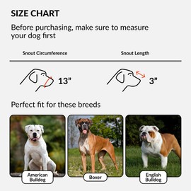 CollarDirect Leather Basket Dog Muzzle for Boxer, English American Bulldog Secure Anti-Barking Biting Chewing Adjustable Breathable (Black)