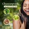 VEDA Premium Chyawanprash (Sugar Free) | 16.7 Oz | Ayurvedic
