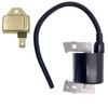 HEPENG Bobinas de encendido 21121-2069 con módulo de encendido 21119-2161