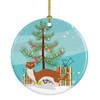 Caroline's Treasures Weasel Christmas Ceramic Christmas Ornament Multi Color, 3