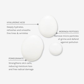 Evolve Organic Beauty - Deep Clean Micellar Water | Refresh, Hydrate, Soothe | Moringa Peptide, Hyaluronic Acid | Small-Batch, Vegan Clean Beauty (6.4 fl oz | 190 mL) Package May Vary