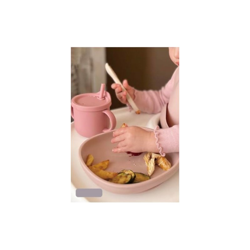 Platos para Bebe - Alimentación Complementaria bebe, Cubiertos para Bebe,
