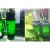 QANVEE Fluidized Moving Bed Filter Bubble Bio Media Reactor for