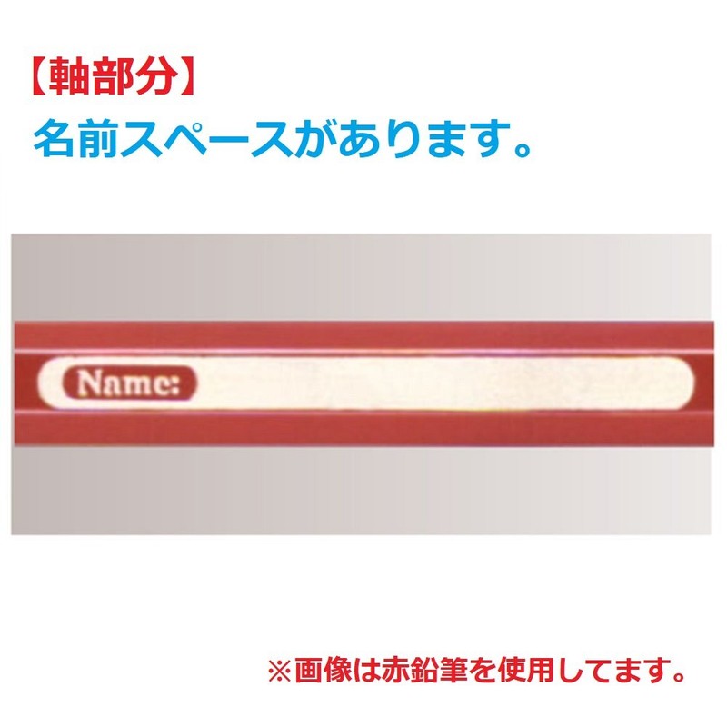 ファーバーカステル 水彩色鉛筆 丸缶 12色セット TFC-115912