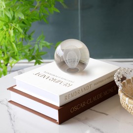 Neatmeat - Juego de cajas decorativas para estantería, libros de tapa dura sintética con almacenamiento secreto, decoración de estantes neutros para sala de estar moderna u oficina