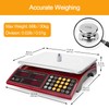 BROMECH Price Computing Scale 66lb Digital Rechargeable Commercial Kitchen Weight
