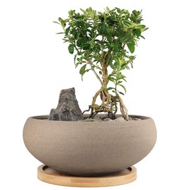 MUZHI Round Unglazed Ceramic Bonsai Pot with Bamboo Tray, Large Rough Pottery Succulent Planter with Drainage Hole 8 inch …