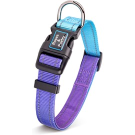 RosesPoetry Collar reflectante para perro con violeta degradado, collares ajustables y duraderos para perros pequeños, medianos y grandes (violeta-XS