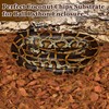 Halatool 10LB Coconut Chips Substrate for Reptiles 72QT Natural Coco