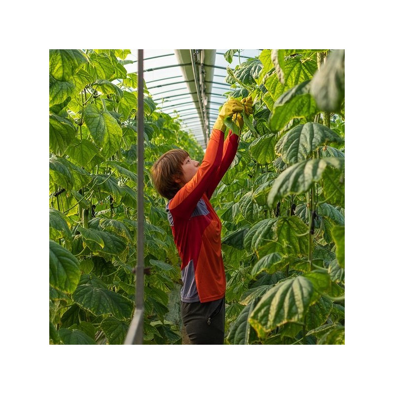 논산농부의 수제 유자청 700g Nonsan Farmer's Handmade Yuzu Citrus Jam