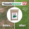 Canada Green Grass Lawn Seed - Grows Healthy Rich Green