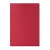 C4 Envelope 324x229mm + 25mm Pleat Red String Closure Kraft