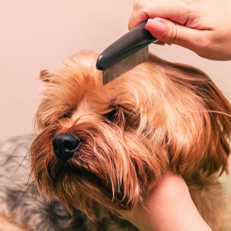 JIANYI Flea Comb with Rubber Handle, Flea and Tick Comb