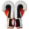 Ring to Cage Thai-Style Sparring Boxing Gloves - Limited Edition