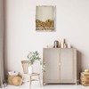 FramePro Shadow Box Seashell Collection White 12x16 Top Loading Display