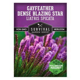 Survival Garden Seeds - Dense Blazing Star (Liatris spicata) | Gayfeather | Prairie Feather | North American Native Wildflower Seeds - 1 Pack