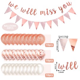 GAROMIA Farewell Party Decoration, Farewell Decoration Set We Will Miss You Banner Good Luck Balloons Triangle Flag Banner, We Will Miss You Decoration for Graduate Retirement Party Rose Gold