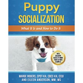 Puppy Socialization: What It Is and How to Do It