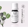 Ethereo Aceite Esencial Eucalipto, Aromaterapia, 100% Orgánico, 10ml