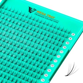 VAVALASH 320 Fans Premade Wispy Lash Fans Eyelash Extensions,5D 0.07 Thickness C Curl,Premade Spikes Fans Pointed Base,Wispy Promade Fans Volume Lash Extensions (Wispy-320 Fans-5D-0.07-C-8-15mm)