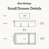 Blue Ginkgo Small 20-Drawer Cabinet – Stackable Clear Organizer for