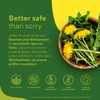 TRUE NATURE Organic Dandelion Root Extract (10:1) - 1500 mg/day