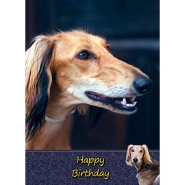 Saluki Dog Birthday Card