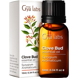 Gya Labs Clove Oil for Tooth Aches - 100% Pure and Natural Clove Essential Oil - Therapeutic Grade Clove Oil Essential Oil - Clove Oil for Hair Growth, Skin, Teeth & Gums (10 ml)