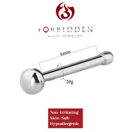 Forbidden Body Jewelry 20g Surgical Steel Basic Straight Nose Stud with Steel Dome Ball End
