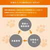 Health Supplement for Dogs and Cats, Cosecin Powder-In 45, 15cpX3