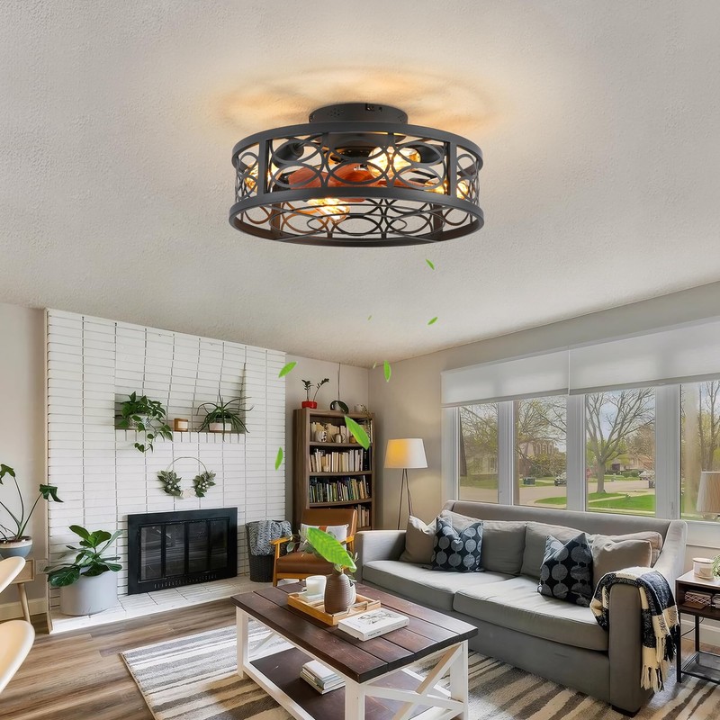 HUEOCZW 20" Caged Ceiling Fan with Light and Remote，Bladeless Ceiling