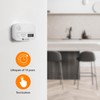 Smartwares FGA-13041 Carbon Monoxide Detector, 10 Year Sensor, Digital Screen,