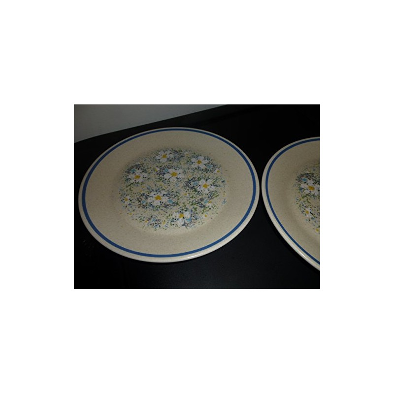 Lenox Dewdrops Temperware Bread & Butter Plate